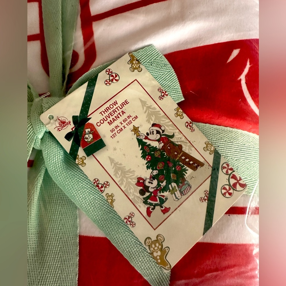 Disney Throw Holiday cheer